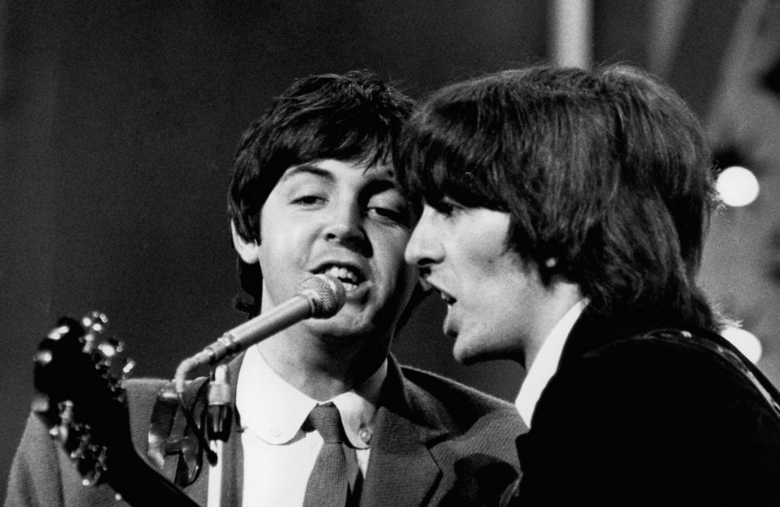 Sir Paul McCartney's special tree