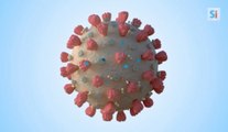 Rétrospective 2020 : une année sous le signe du coronavirus