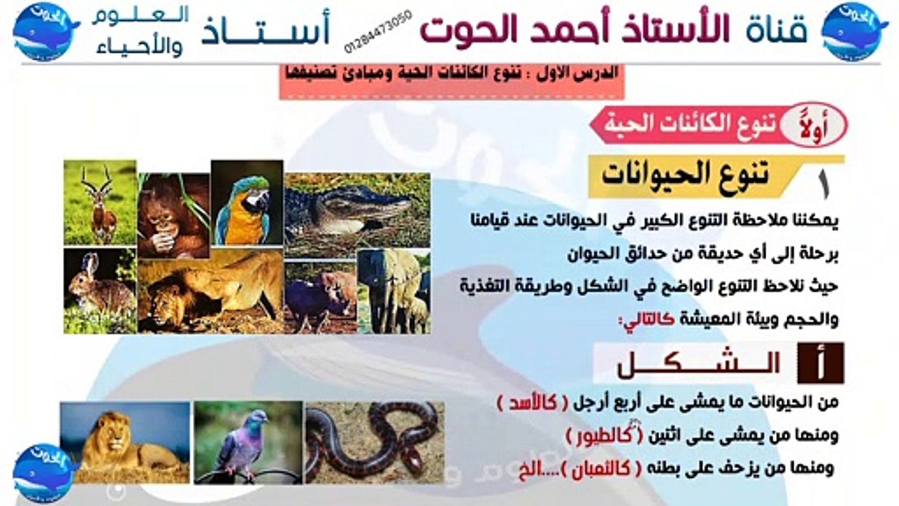 شرح درس تنوع الكائنات الحية ومبادئ تصنيفها - الجزء الأول - علوم الصف الأول الاعدادي الترم الأول 2021