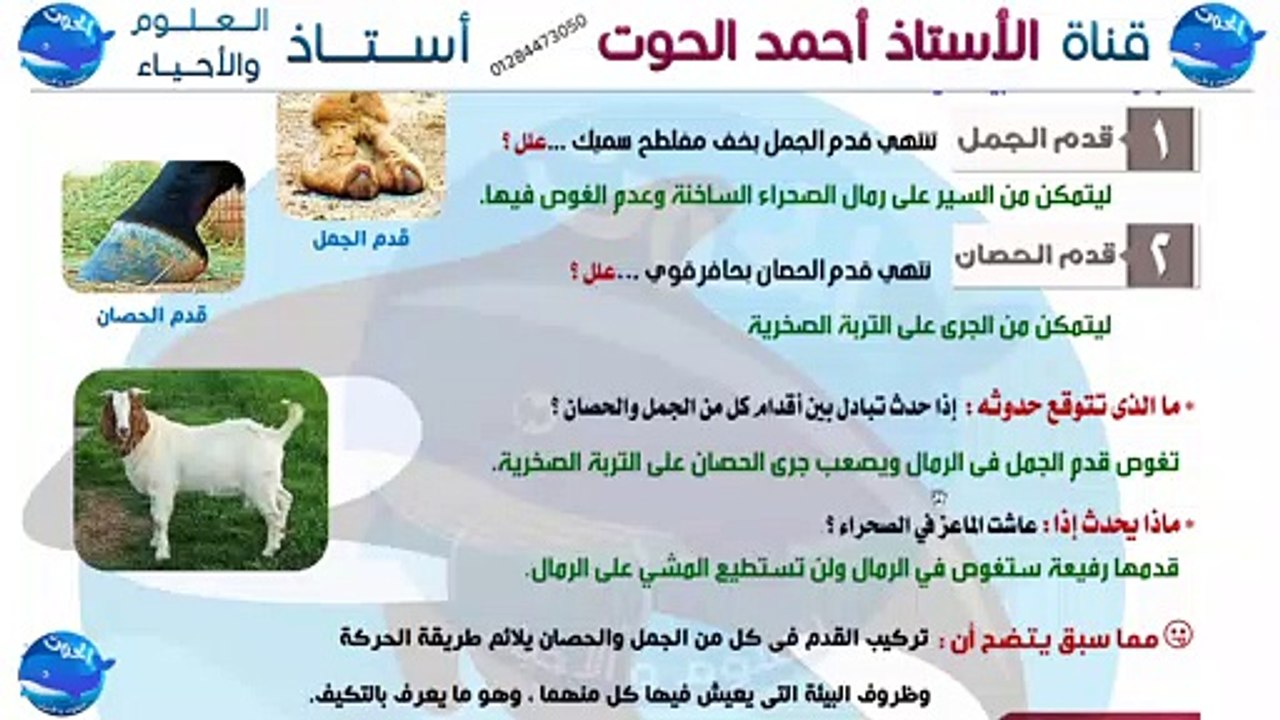 شرح درس التكيف وتنوع الكائنات الحية - الجزء الأول - علوم الصف الأول الاعدادي الترم الأول 2021