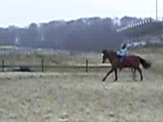 Jeudi 21 FEVRIER 2008