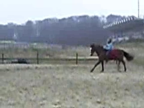 Jeudi 21 FEVRIER 2008