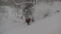 Skier Crashes Into Snow While Jumping Over Snow-Covered Tree