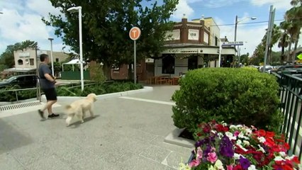 Sydney slapped with more NYE restrictions after cluster