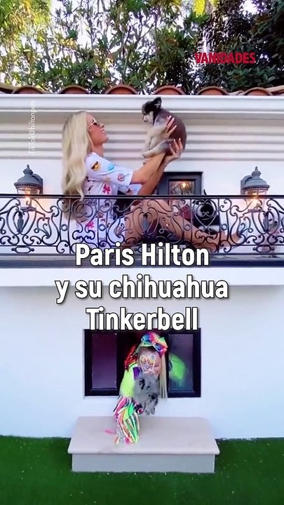 Los famosos tienen compañeros inseparables, aquí te presentamos algunas de sus mascotas