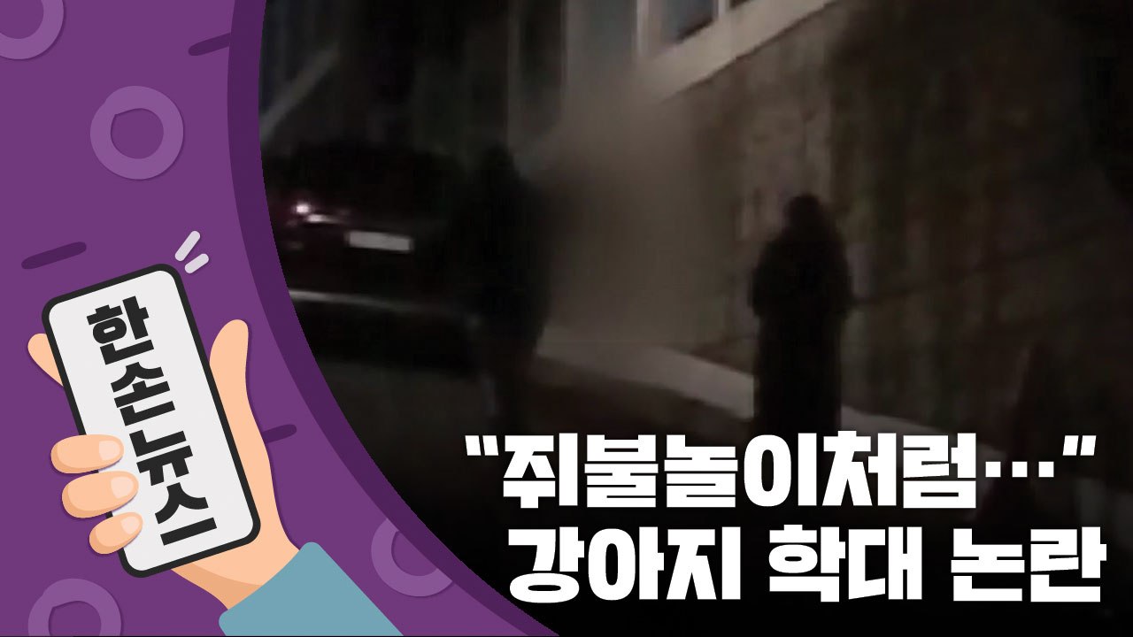 [15초뉴스] "쥐불놀이처럼 돌려"...포항 강아지 학대 논란 / YTN
