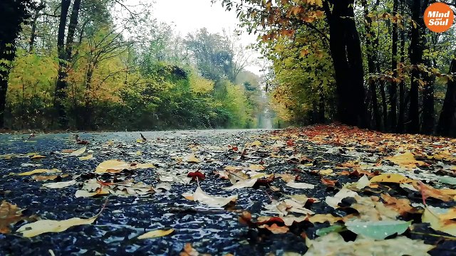 Soothing Rain to Relax Your Mind and Soothe Your Soul