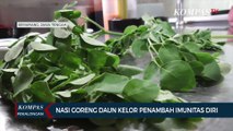 Nasi Goreng Daun Kelor Penambah Imunitas Diri