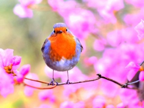 Amour love#hiphop #hiphopmusic #hiphopculture #hiphophead #HipHopartist #HipHopLife #hiphopdance #hiphopjunkie #hiphopbeats #hiphopheads #hiphopstyle #HipHopNation #hiphopart #hiphopdx #hiphopnews #hiphopblog #hiphopweekly #hiphopbeat #HipHopAwards #hipho