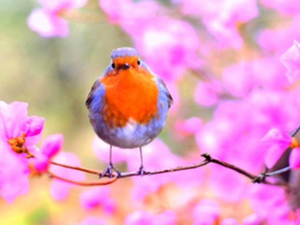 Amour love#hiphop #hiphopmusic #hiphopculture #hiphophead #HipHopartist #HipHopLife #hiphopdance #hiphopjunkie #hiphopbeats #hiphopheads #hiphopstyle #HipHopNation #hiphopart #hiphopdx #hiphopnews #hiphopblog #hiphopweekly #hiphopbeat #HipHopAwards #hipho