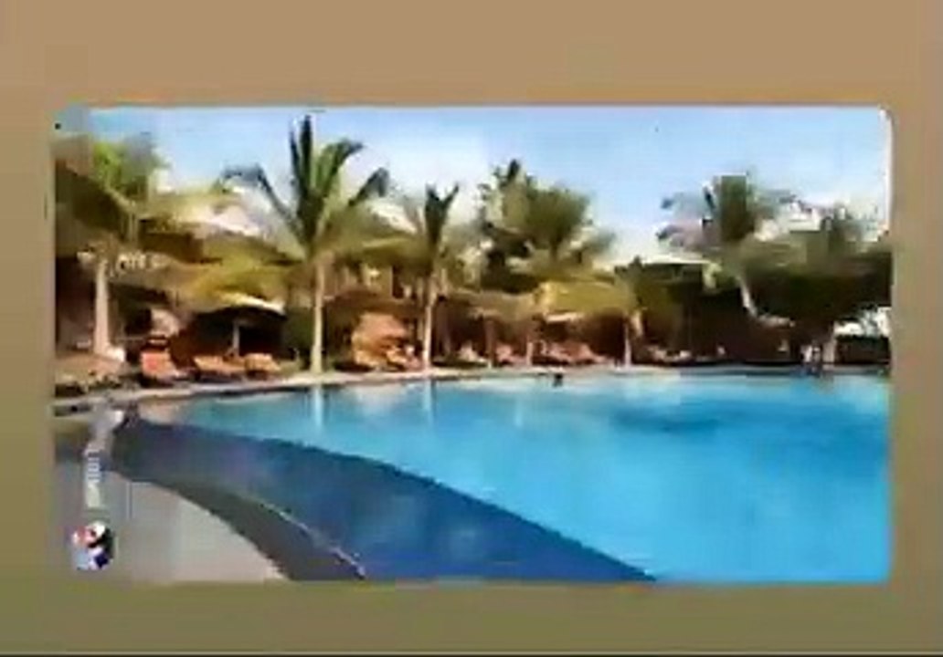 Petit tour du Lamantin