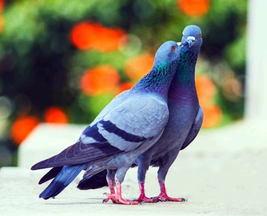 #rap #hiphop #music #rapper #trap #beats #rapmusic #Artist #love #producer #newmusic #hiphopmusic #freestyle #rappers #soundcloud #art #explorepage #spotify #follow #Youtube #dj #like #trapmusic #rnb #hiphop #bhfyp #beat #musicproducer     I love you