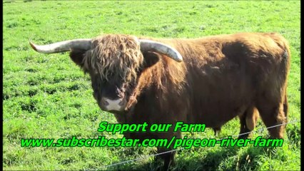 Drone flying in bad weather