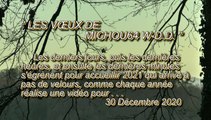 LES VŒUX DE MICHOU64 W-D.D. - 30 DÉCEMBRE 2020 - PAU - POUR VOUS OFFRIR MES VŒUX -   MY WISHES FOR - MIS DESEOS PARA