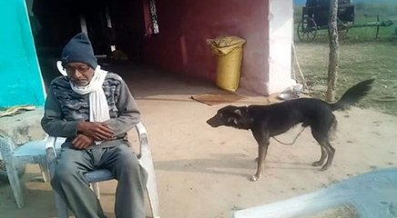 पांच बेटा-बेटियों के बावजूद किसान ओम नारायण ने अपने कुत्ते के नाम कर दी आधी जायदाद, जानिए वजह