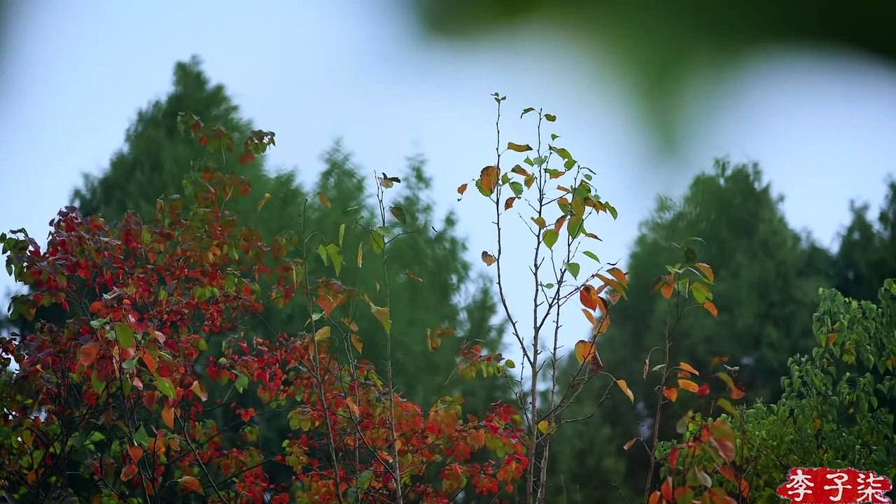 लाल, लाल दृढ़ता से आप एक खुशहाल, समृद्ध नया साल ला सकते हैं!