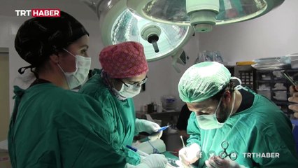 Türkiye'de 292 bin 65 kişi organ nakli için bekliyor