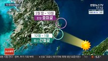 새해 첫 해돋이 독도 7시 26분…TVㆍ온라인으로 보세요