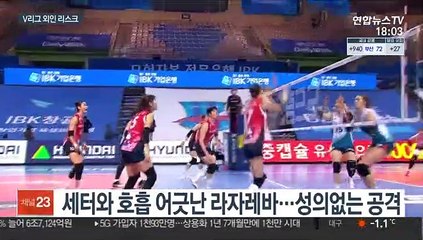 [프로배구] 불만 표출·성의없는 공격…외인에 울고 웃는 V리그