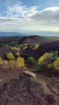 Etna: Crateri Sartorius 3 Novembre 2019.