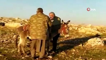 Şanlıurfa'da ceylanları avlayan 4 kişi suçüstü yakalandı