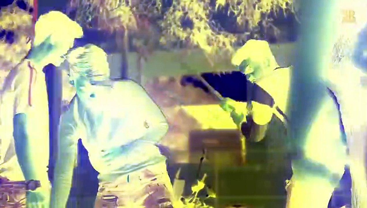 Yaa Ali _ full romantic Hindi song