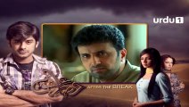 Hisar-e-Ishq - Episode 63 | Urdu 1 Dramas | Suzain Fatima, Asad Malik