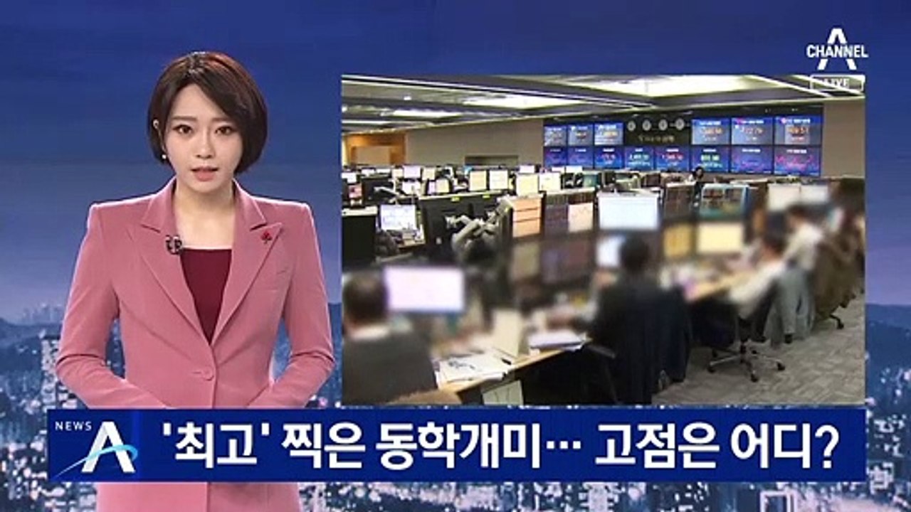 ‘최고’ 찍은 동학개미…내년 ‘코스피 3000 시대’ 오나