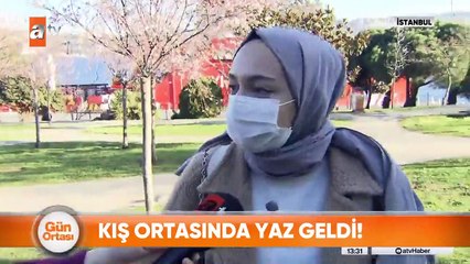 Bahar gelmeden ağaçlar çiçek açtı