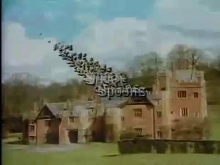 Silver Spoons 501 the Beach House