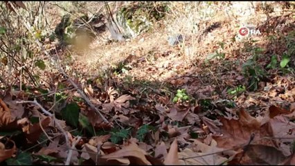 PKK’ya ait sığınakta ele geçirilen patlayıcılar böyle imha edildi