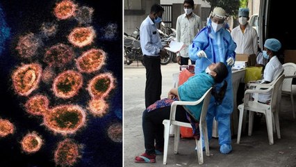 Corona New Strain : New Corona Strain Virus First Case Found In Andhra Pradesh