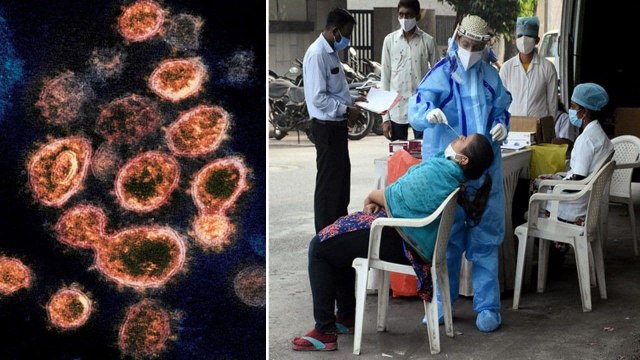 Corona New Strain : New Corona Strain Virus First Case Found In Andhra Pradesh