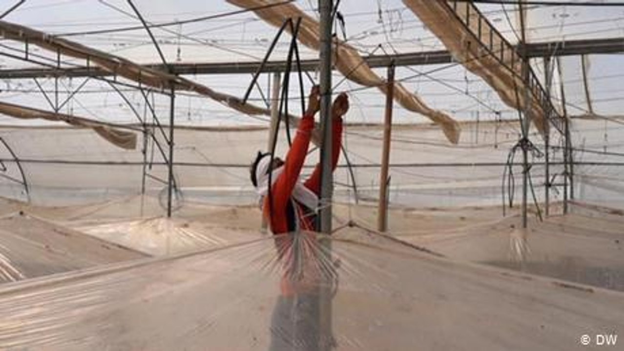 Coronavirus migrants discover green farming methods in Rajasthan