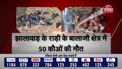 बर्ड फ्लू की एंट्री , हाईअलर्ट मोड पर वन विभाग