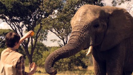 Against The Wild 3: The Great Elephant Adventure - Official Trailer HD