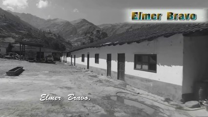 ELMER BRAVO ( tema: SUNCHUBAMBA ) 2020 Ansay Producciones.