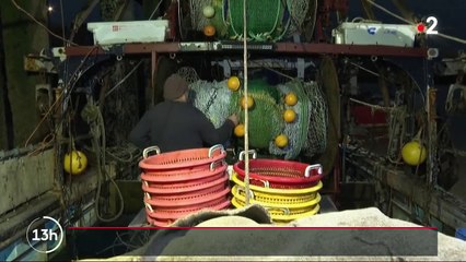 Brexit : l’accord laisse un goût amer pour les pêcheurs britanniques