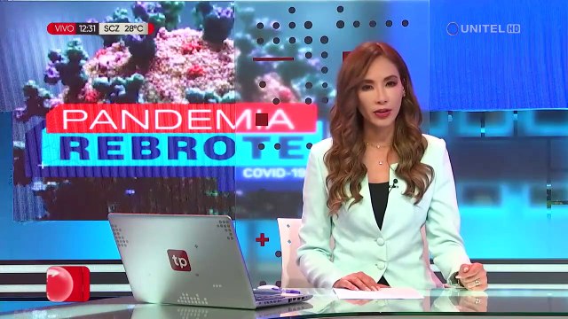 Arce destaca la adquisición de la compra de 40 mil pruebas antígeno nasales