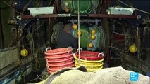 Accord post-Brexit : les pêcheurs britannique se sentent 