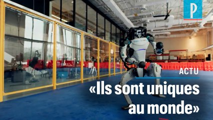 Robots qui dansent de Boston Dynamics : «C’est une prouesse, une avancée technologique» 