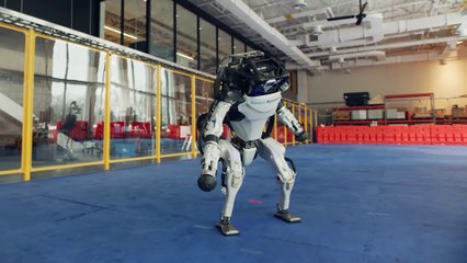 Do You Love Me? (Robots Dancing - 4k / 2160p)