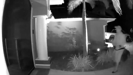 UPS Man Walks Right into Glass