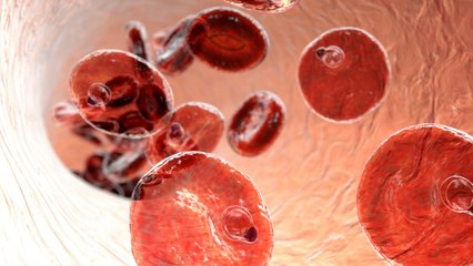 There's A Frightening Gene Mutation Going On In The Parasite That Causes Malaria