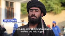 Afghan dairy entrepreneur walks political tightrope to stay afloat