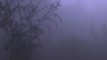 Cold wave prevails in national capital, with very heavy fog