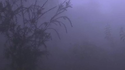 Cold wave prevails in national capital, with very heavy fog