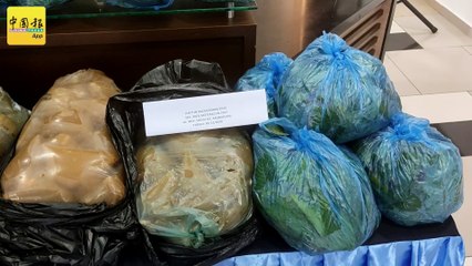 今日爆点  爆HIT下  社会  葛冬水  毒  集团  drug