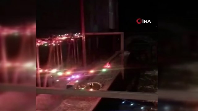 Kısıtlama olunca yeni yıla inekleriyle girdi...Çiftliğini ışıklarla süsledi, ineklerine şapka takarak yeni yılı kutladı