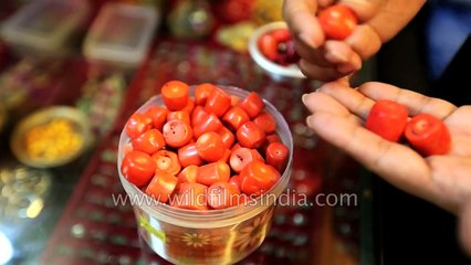 Rare Himalayan Coral stones being sold in Bhutan - from the sea, found in the Himalaya